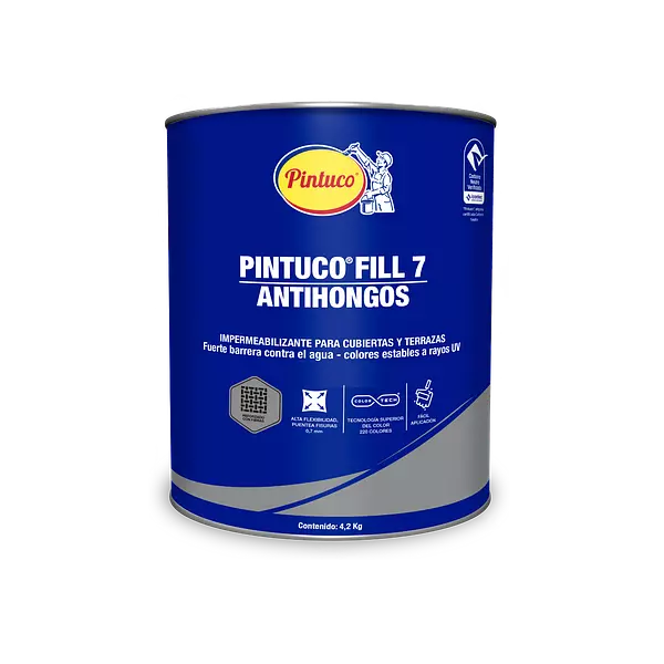 Pintuco Fill 7 Años Gris 2753