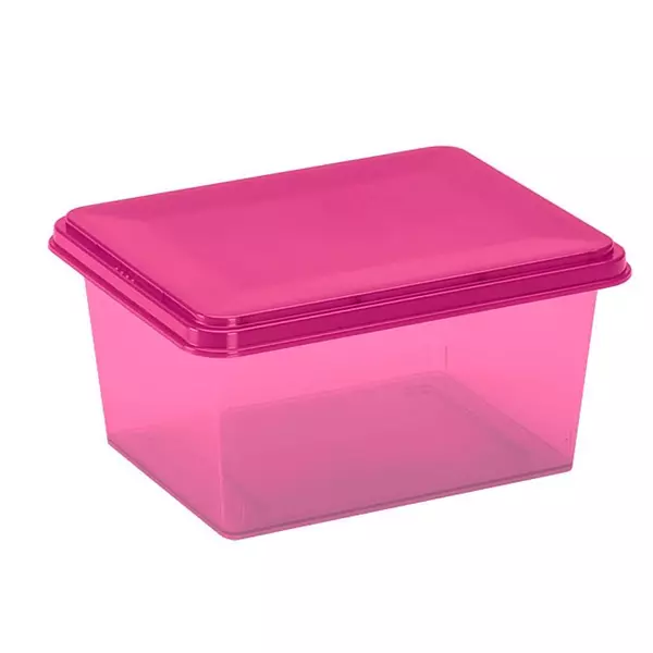 Caja Ultraliviana 12 Ltrs