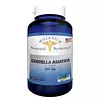 Centella Asiática 400 Mg 60 Cápsulas Systems