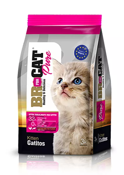 Br For Cat Pure Kitten Gatitos