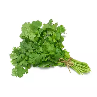 Bolsa Cilantro