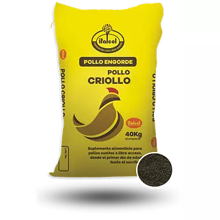 Pollo Criollo Q x 40 Kg