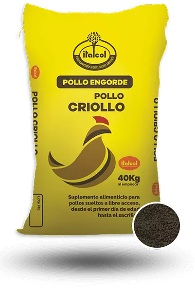 Pollo Criollo P X 40 Kg