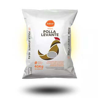 Polla Levante Q x 40 Kg