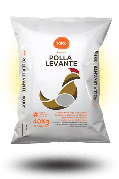 Polla Levante Q x 40 Kg