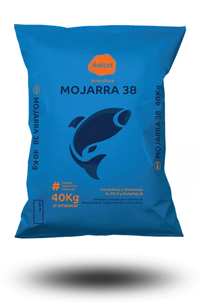 Mojarra 38 E Bulto x 40 Kg