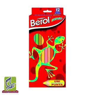 Color Recreo X12 Largo