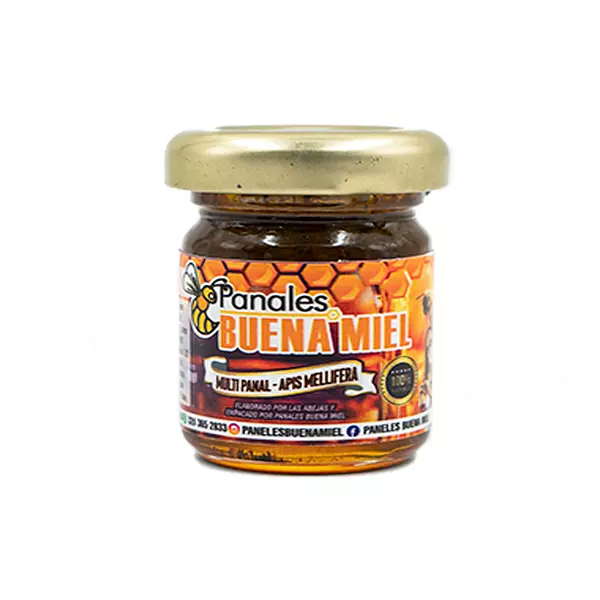 Multivitamínico 180 Gramos - Panales Buena Miel