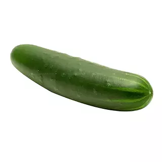 Pepino Cohombro 