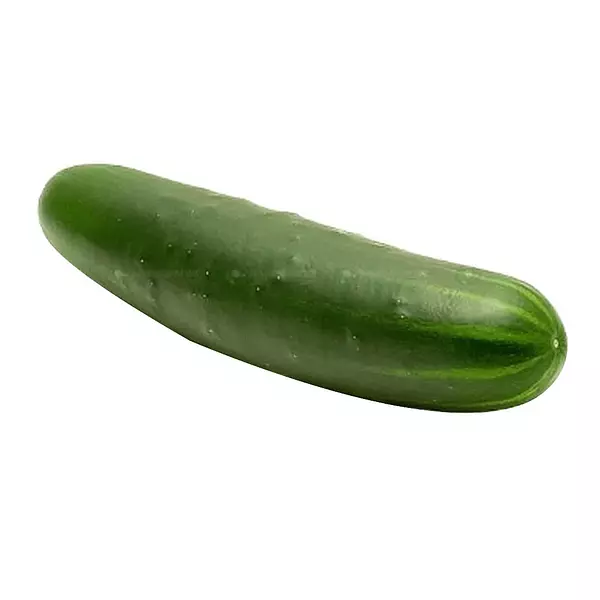 Pepino Cohombro 