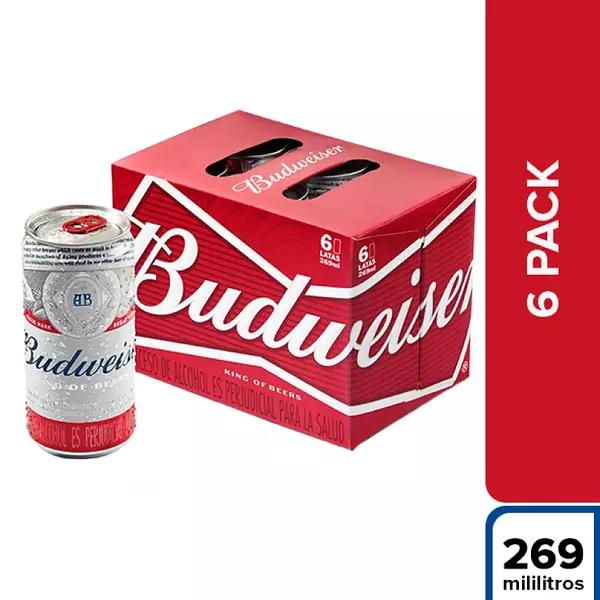 Cerveza Budweiser Sixpack