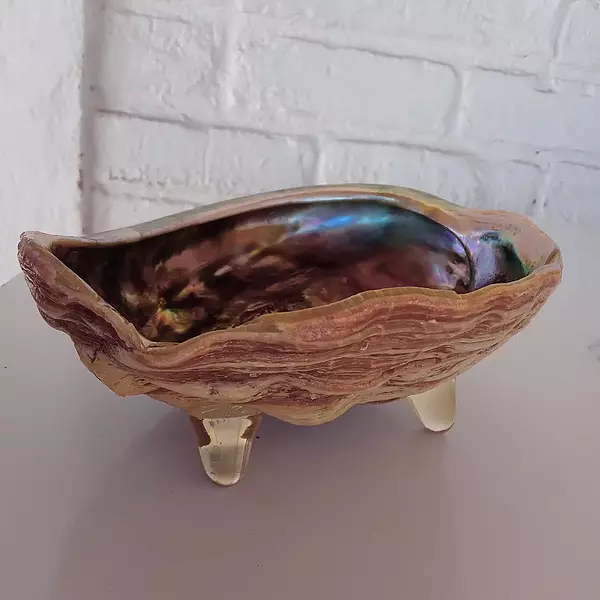 Concha De Abulón Sobre Trípode De Lucita