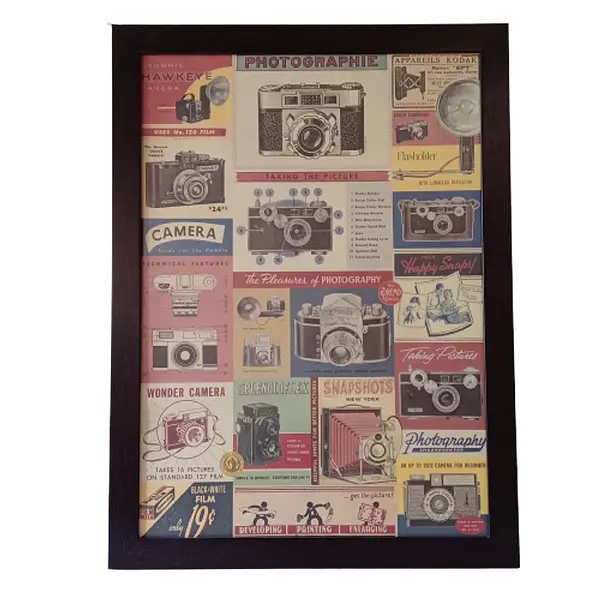 Cuadro Cámaras Antiguas Cavallini