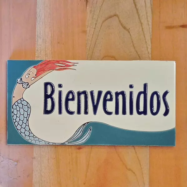 Baldosa Bienvenidos 15 X 30 Cm.