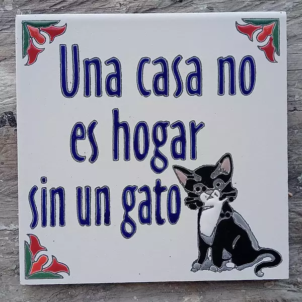 Baldosa Una Casa No Es Hogar Sin Un Gato 15 X 15 Cm.