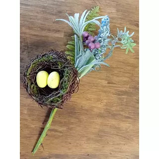 Nido Con 2 Huevos Sobre Rama